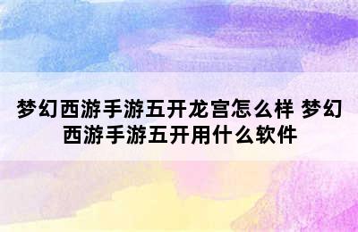 梦幻西游手游五开龙宫怎么样 梦幻西游手游五开用什么软件